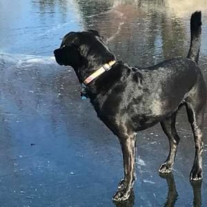 Meet your Posher, Grant